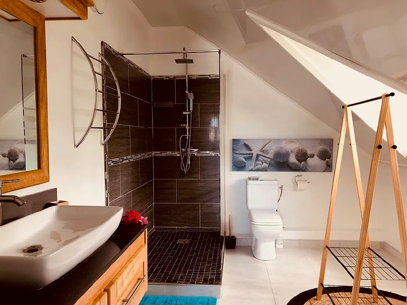 La salle d'eau de la chambre Famille, sa douche et ses WC